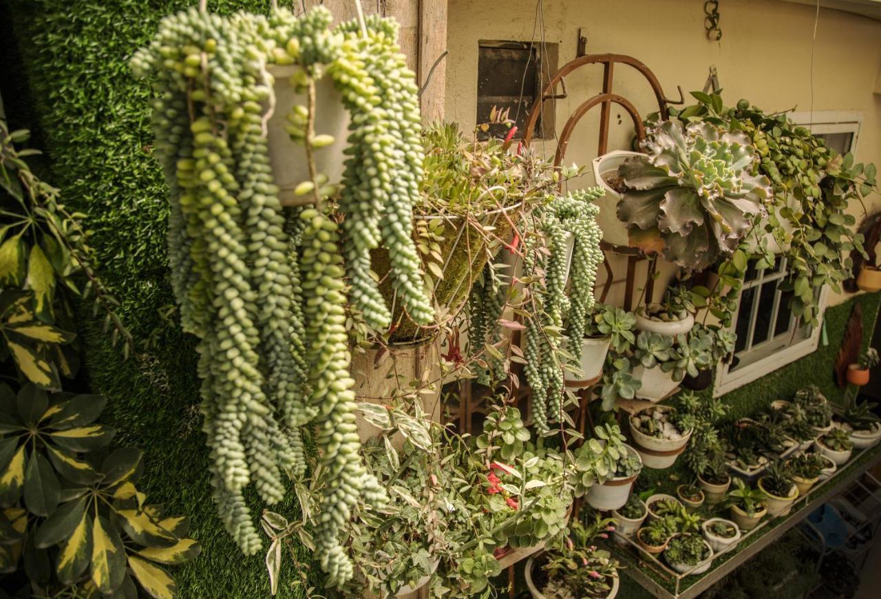 Nha Cua Nguoi Va Ta Lägenhet Dalat Exteriör bild
